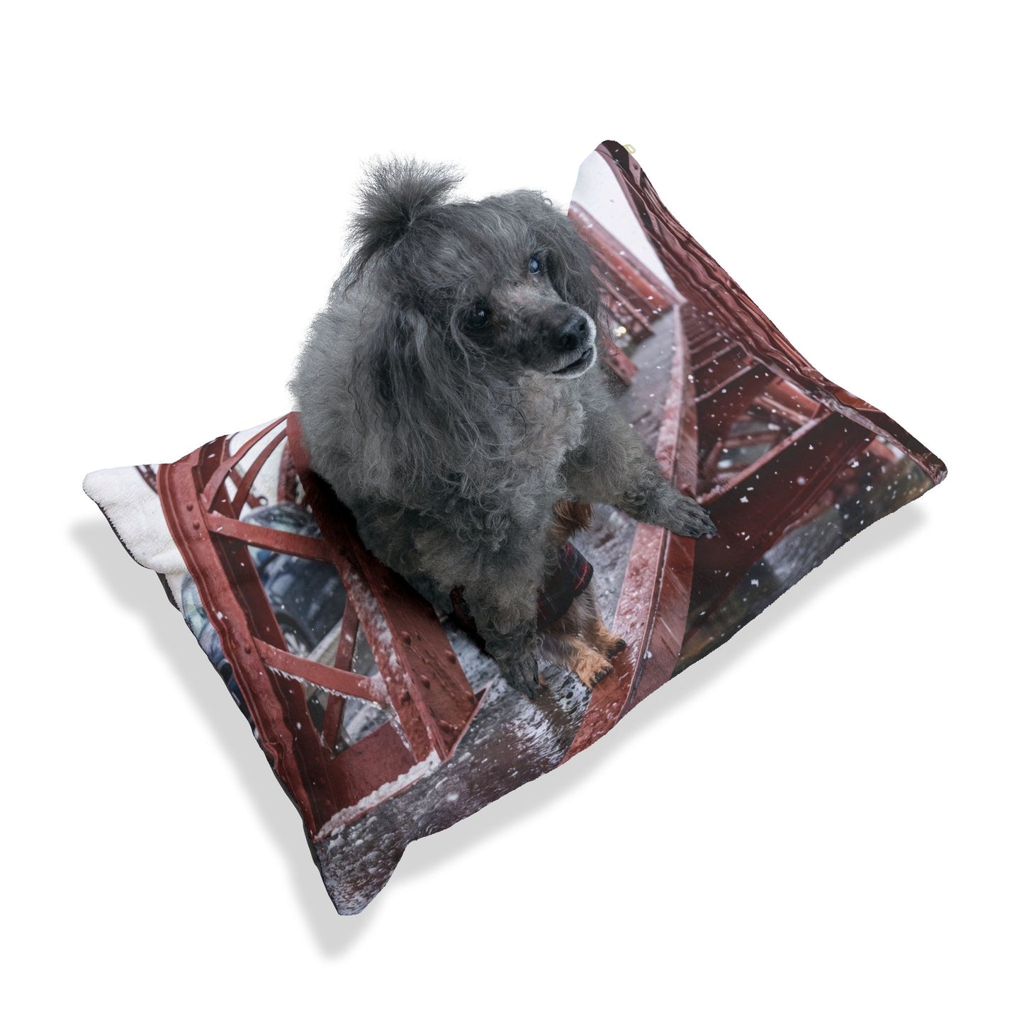 Dandie Dinmont Terrier Pet Bed