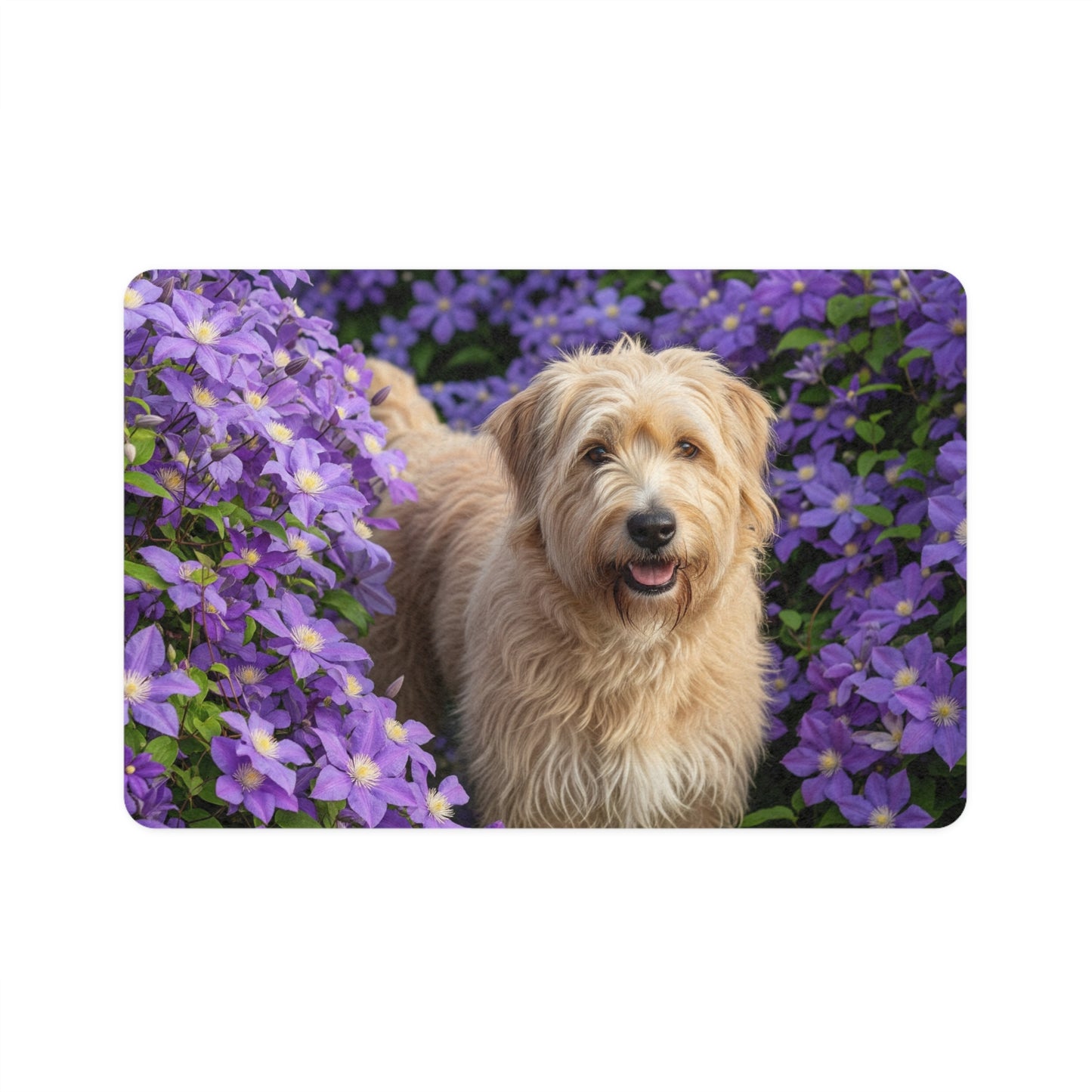 Pet Food Mat (12x18) - Berger Picard