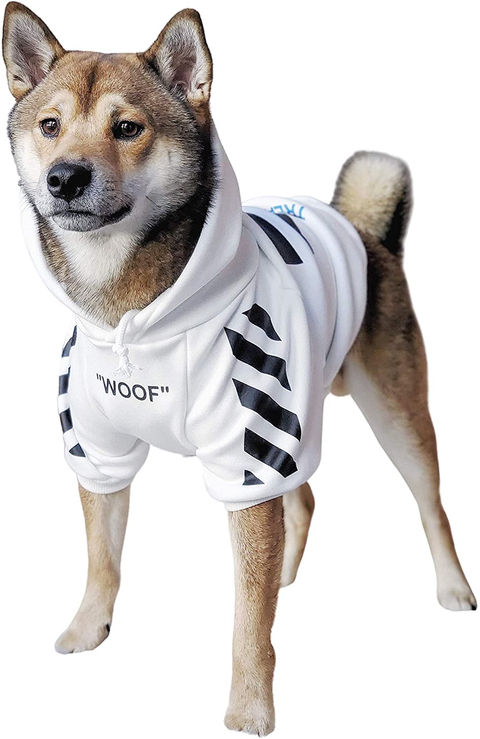 Sweat à capuche Fresh Pawz Woof pour chien