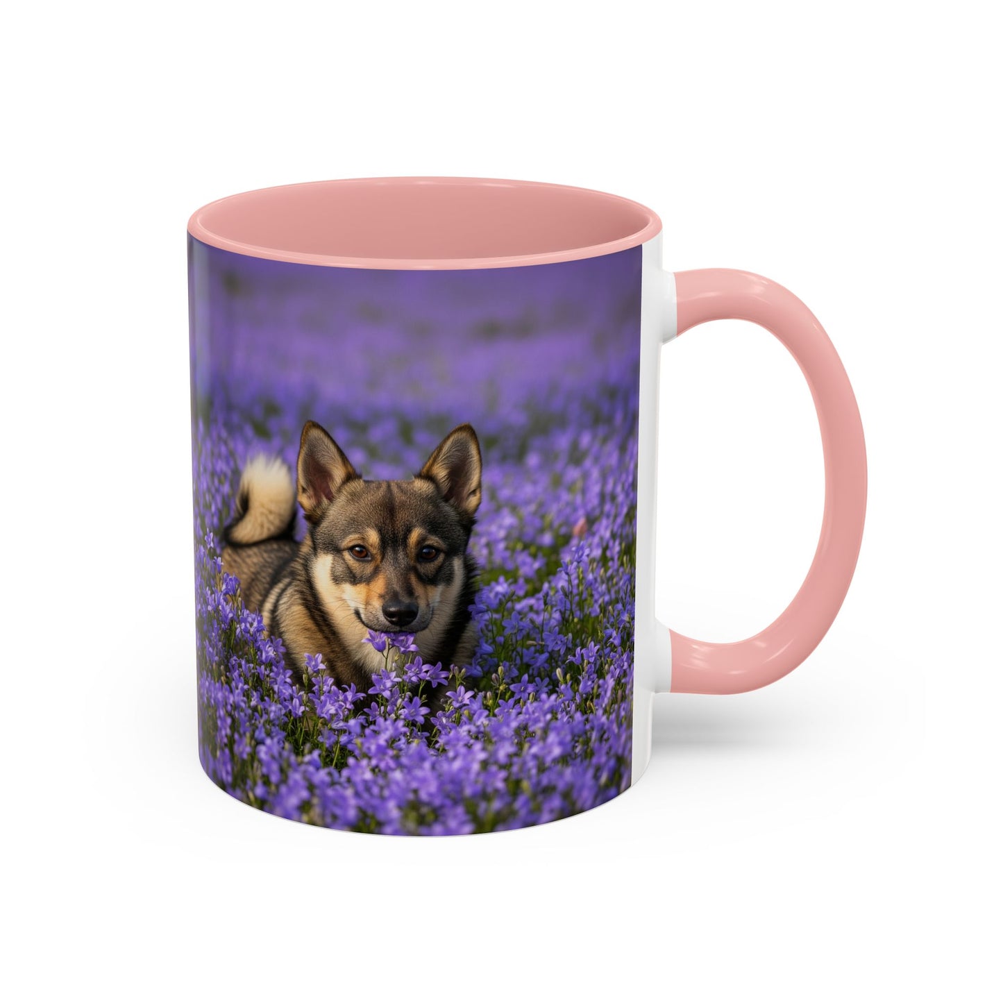 Swedish Vallhund Accent Coffee Mug - Perfect Gift for Dog Lovers
