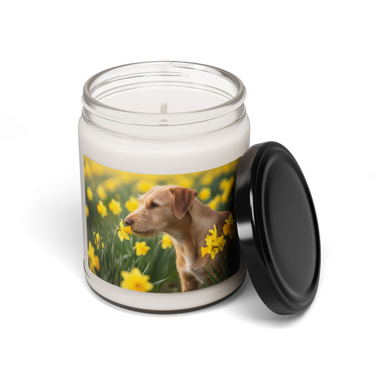 Portuguese Podengo Pequeno- Scented Soy Candle, 9oz