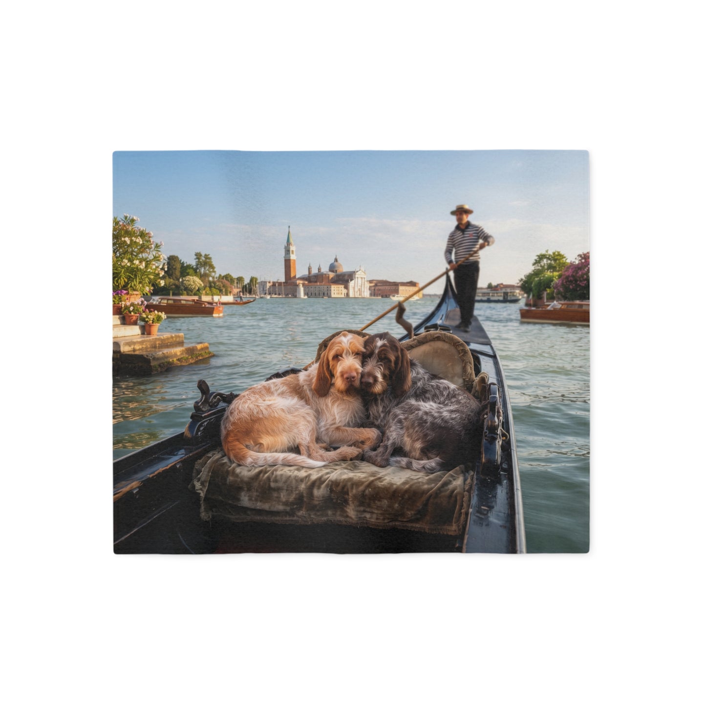 Spinone Italiano Blanket