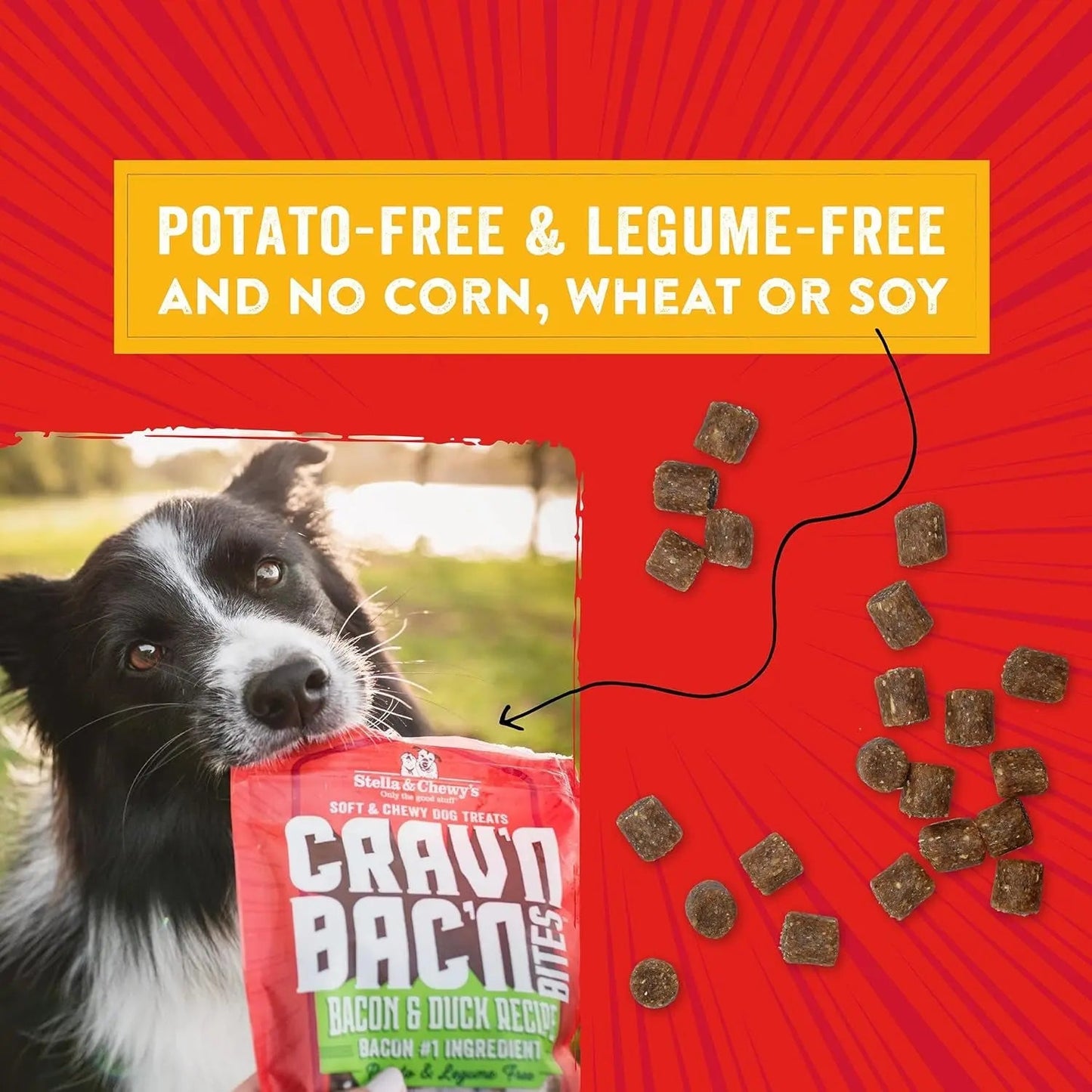 Friandises d'entraînement pour chiens - Crav'N Bac'N Bouchées moelleuses au bacon et au poulet - Qualité supérieure, fabriquées aux États-Unis - Récompenses faibles en calories - 232 g
