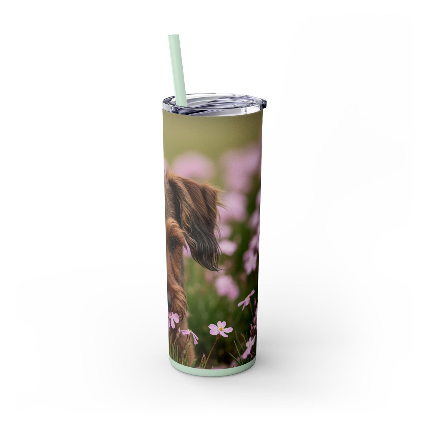Gobelet isotherme Cesky Terrier avec paille, 590 ml
