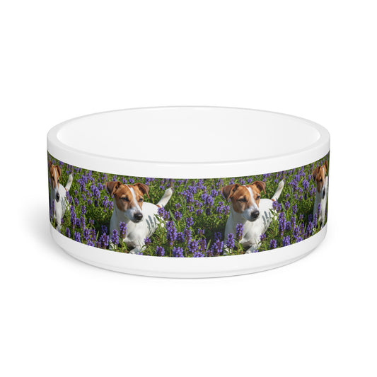 Jack Russell Terrier Pet Bowl