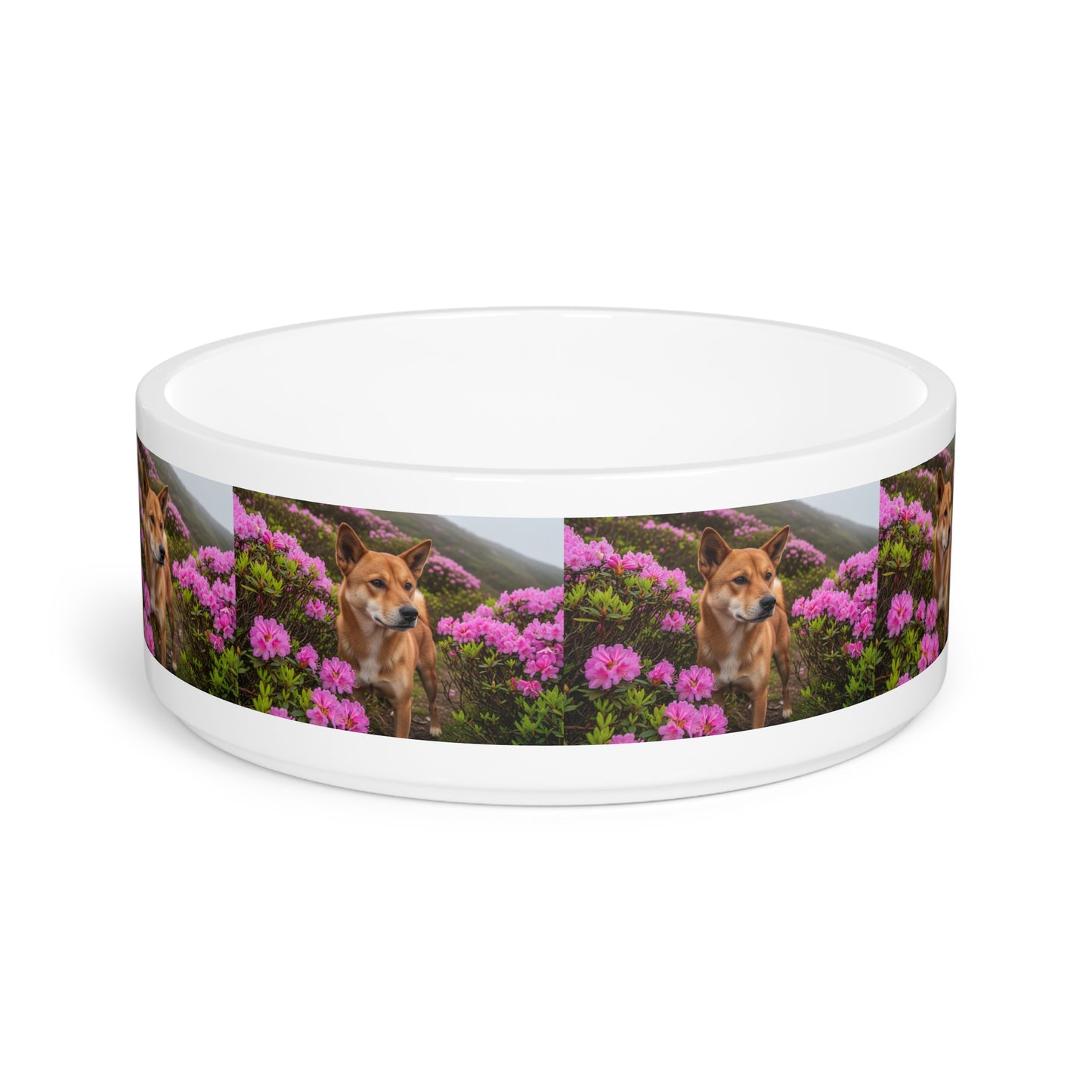 Taiwan Dog Pet Bowl
