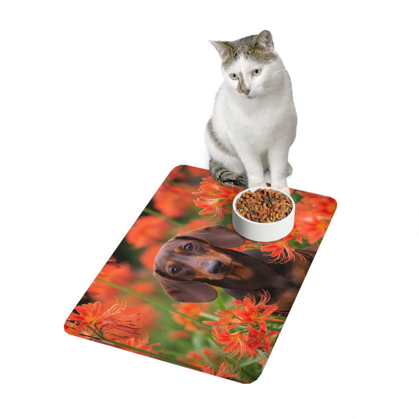 Tapis pour gamelle d'animal (12 x 18) - Teckel