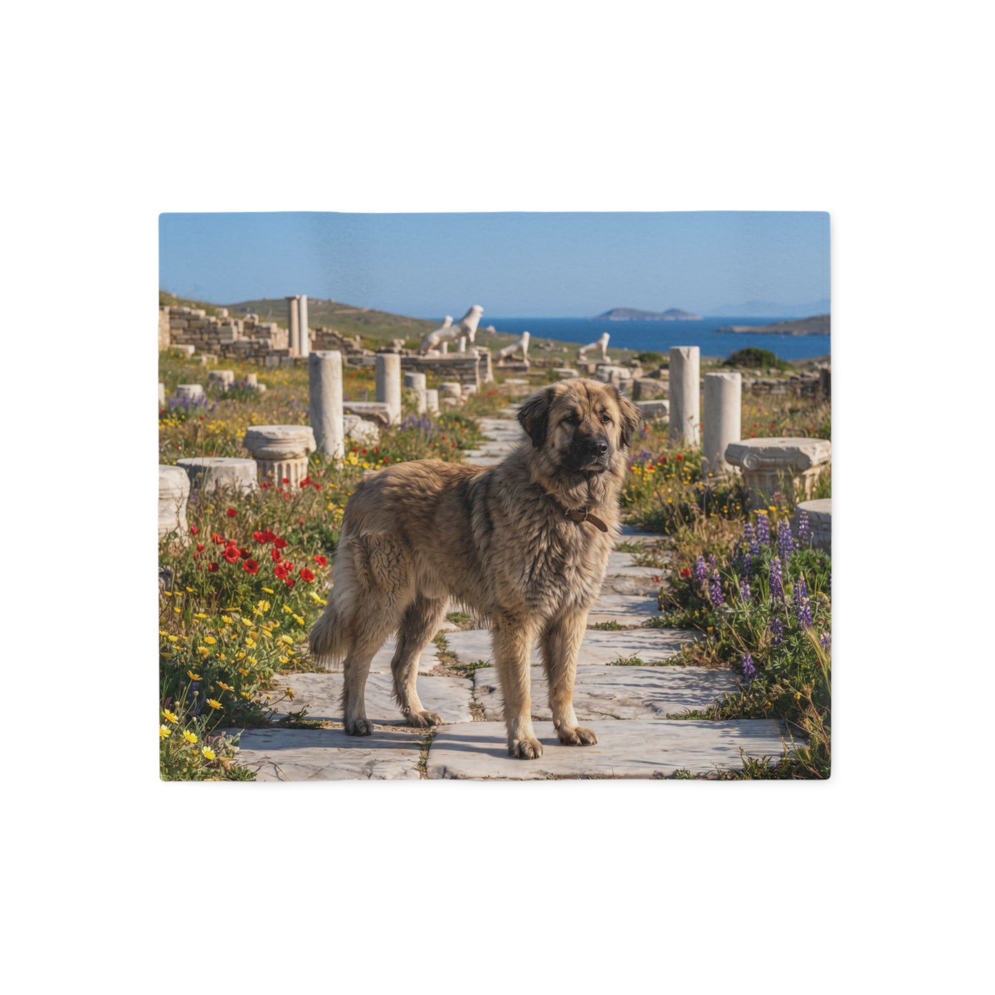 Greek Shepherd Dog Blanket