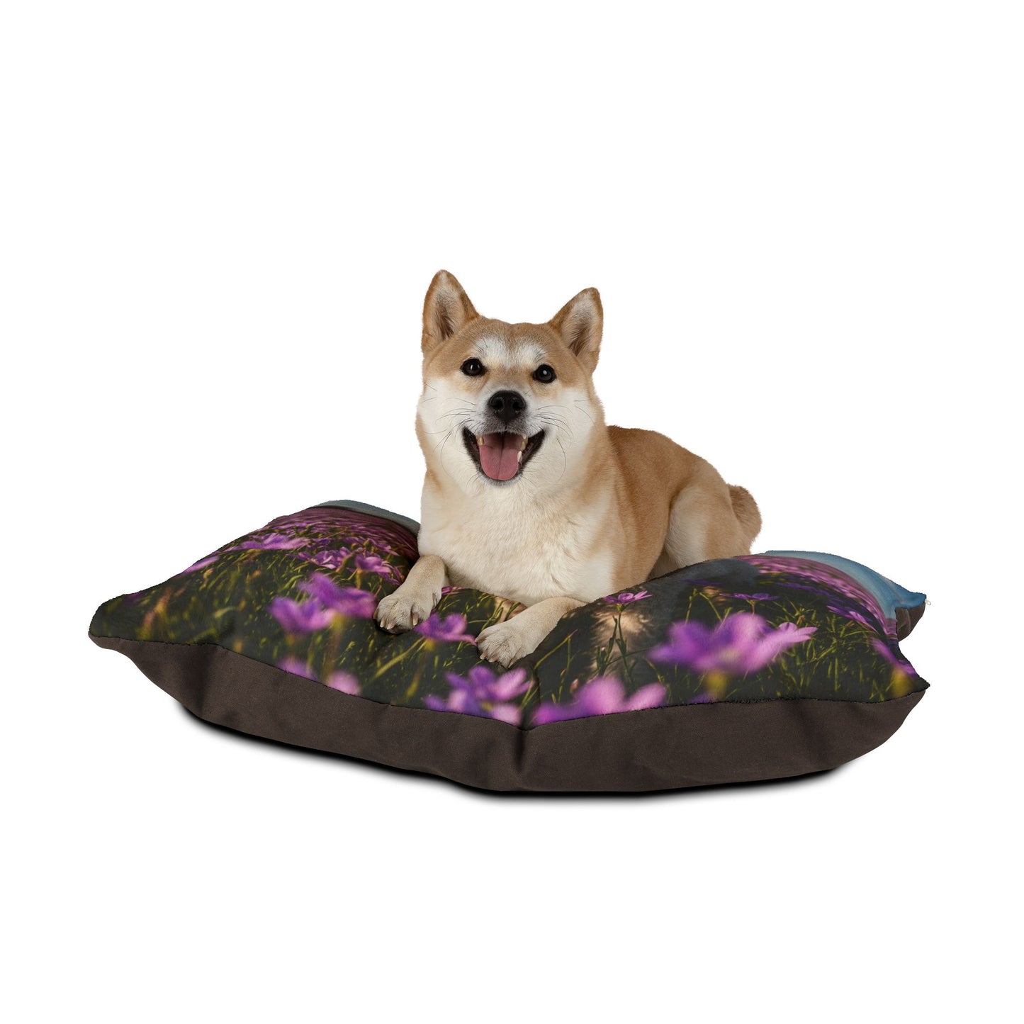 Lagotto Romagnolo Pet Bed