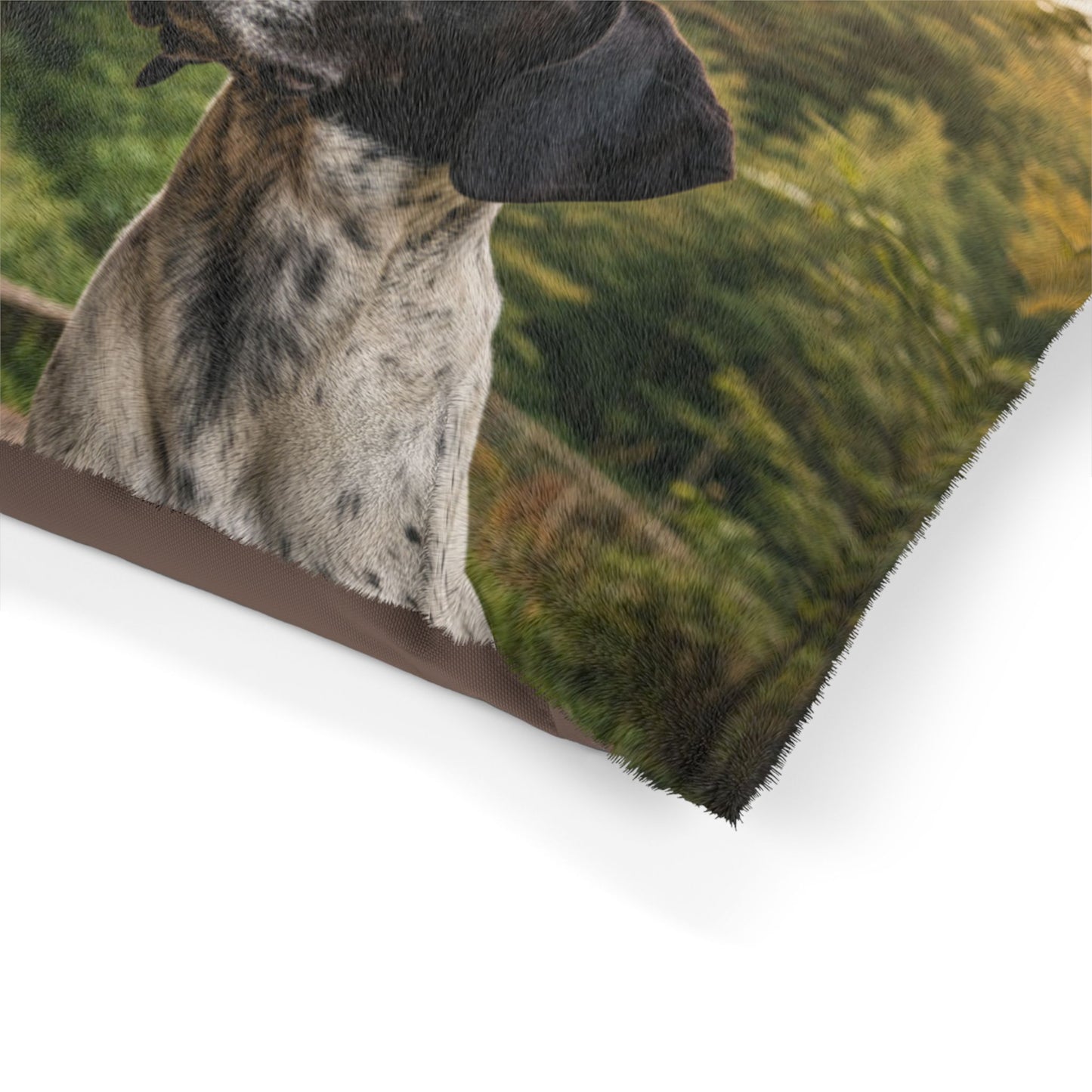 Braque d'Auvergne Pet Bed
