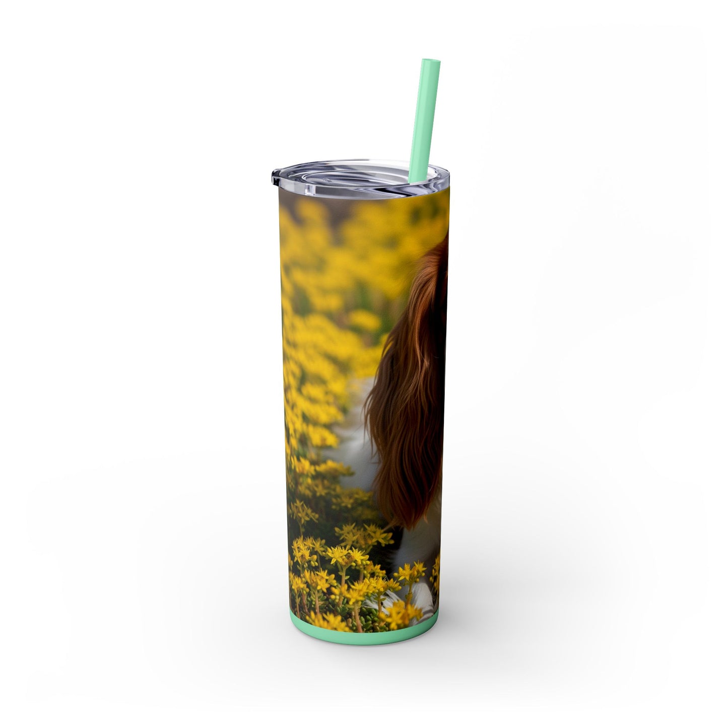 Skinny Tumbler with Straw – 20 oz Stainless Steel Cup