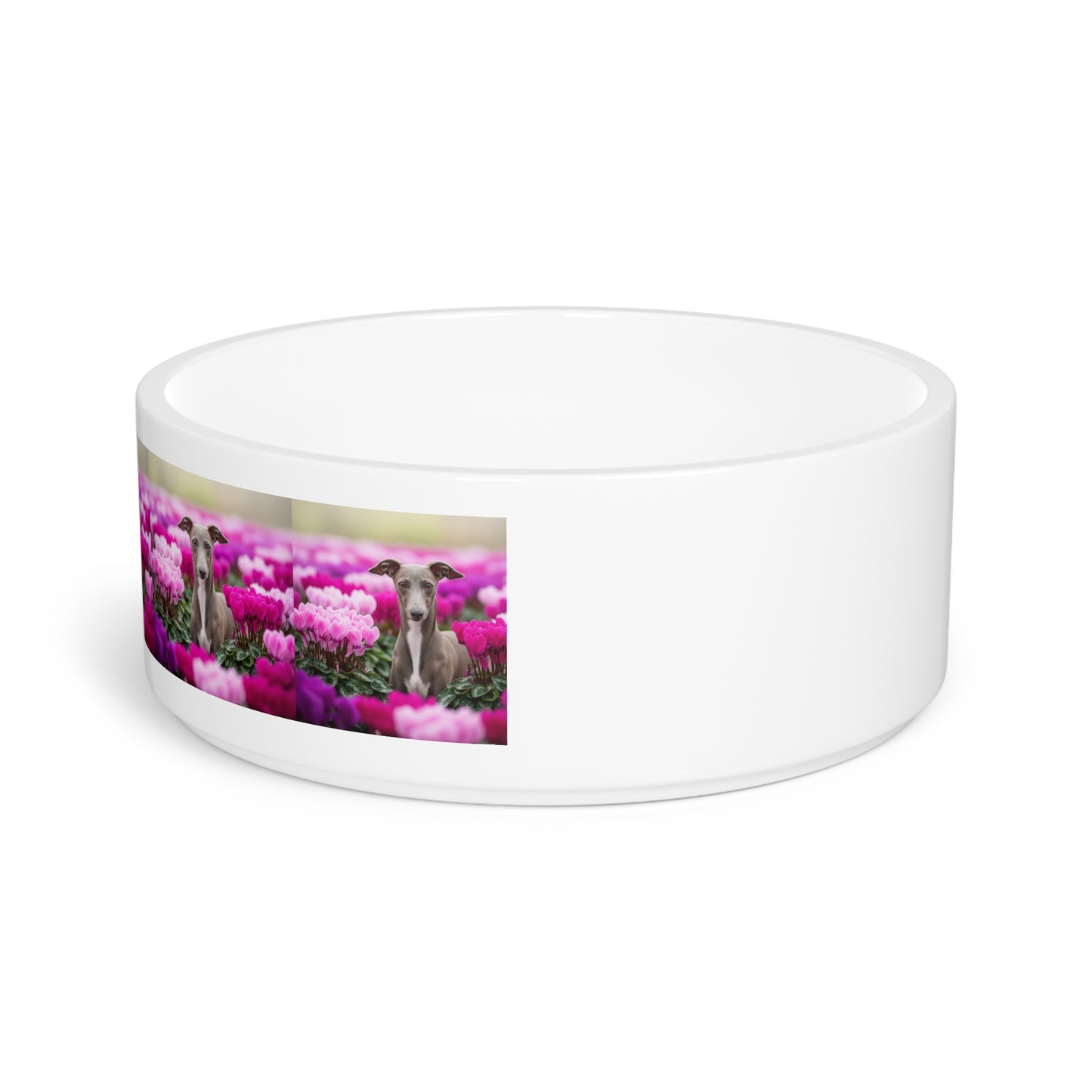 Italian Greyhound Pet Bowl