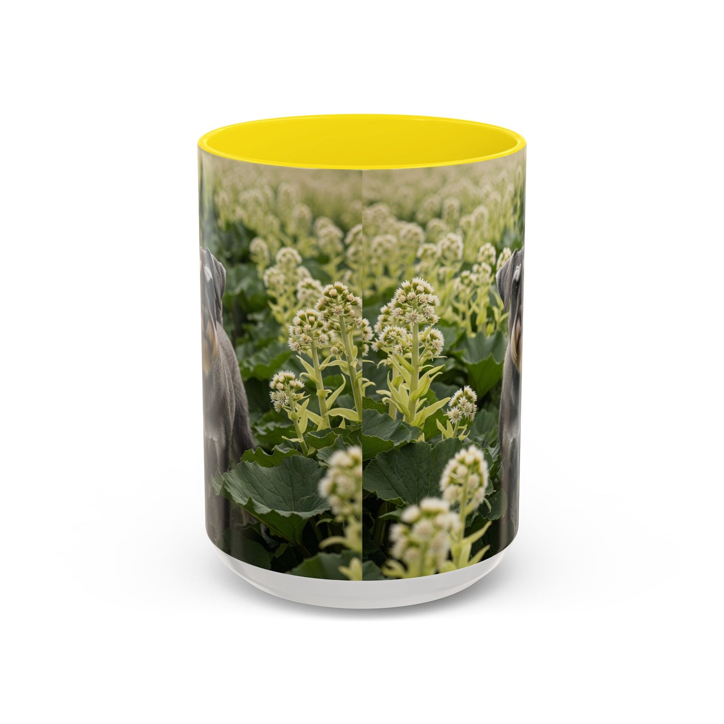 Mug à café avec motif Schnauzer standard - Cadeau idéal pour les amoureux des chiens