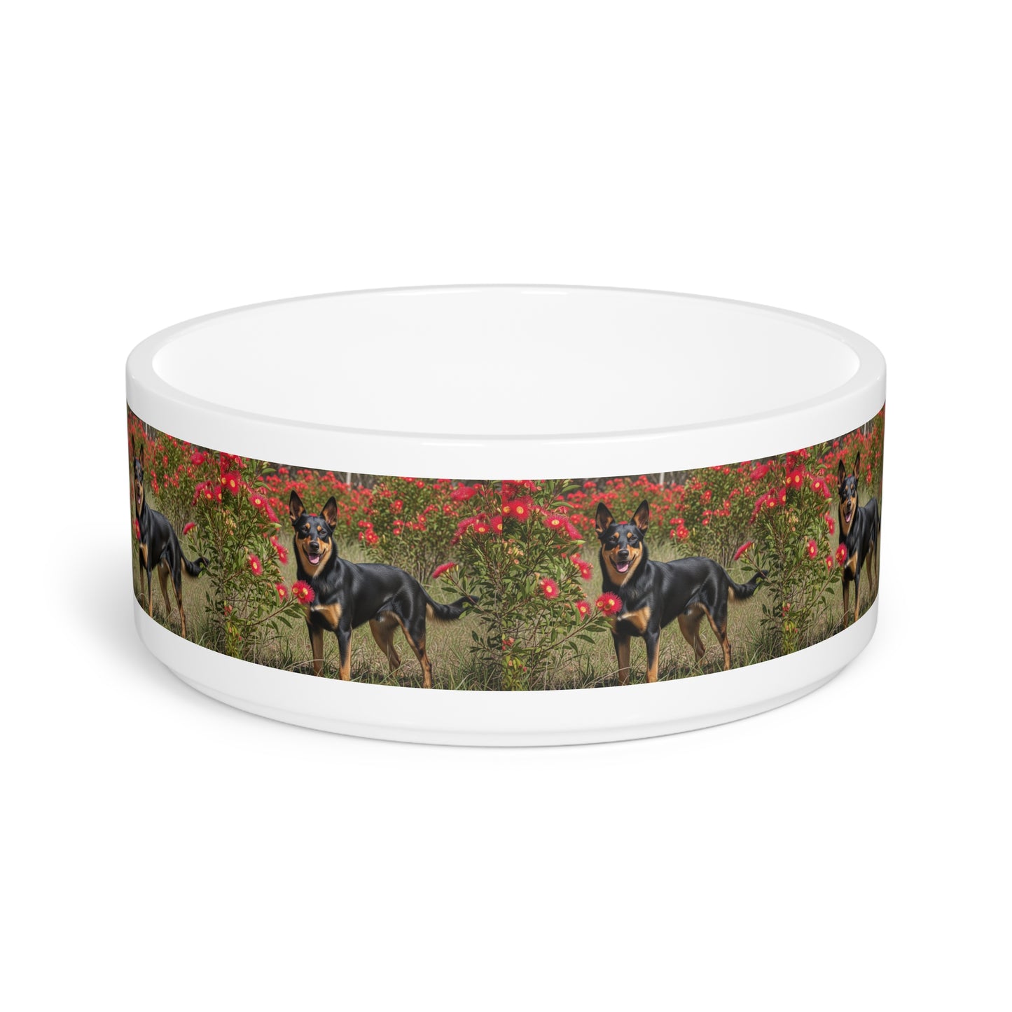 Australian Kelpie Pet Bowl