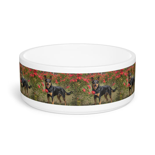 Australian Kelpie Pet Bowl