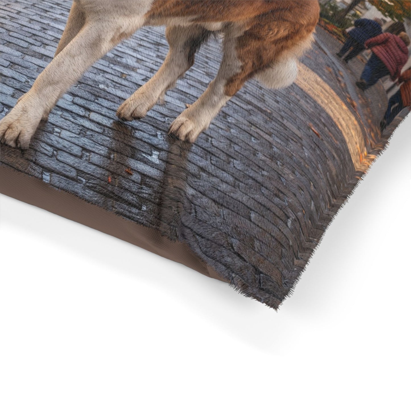 Saint Bernard Pet Bed