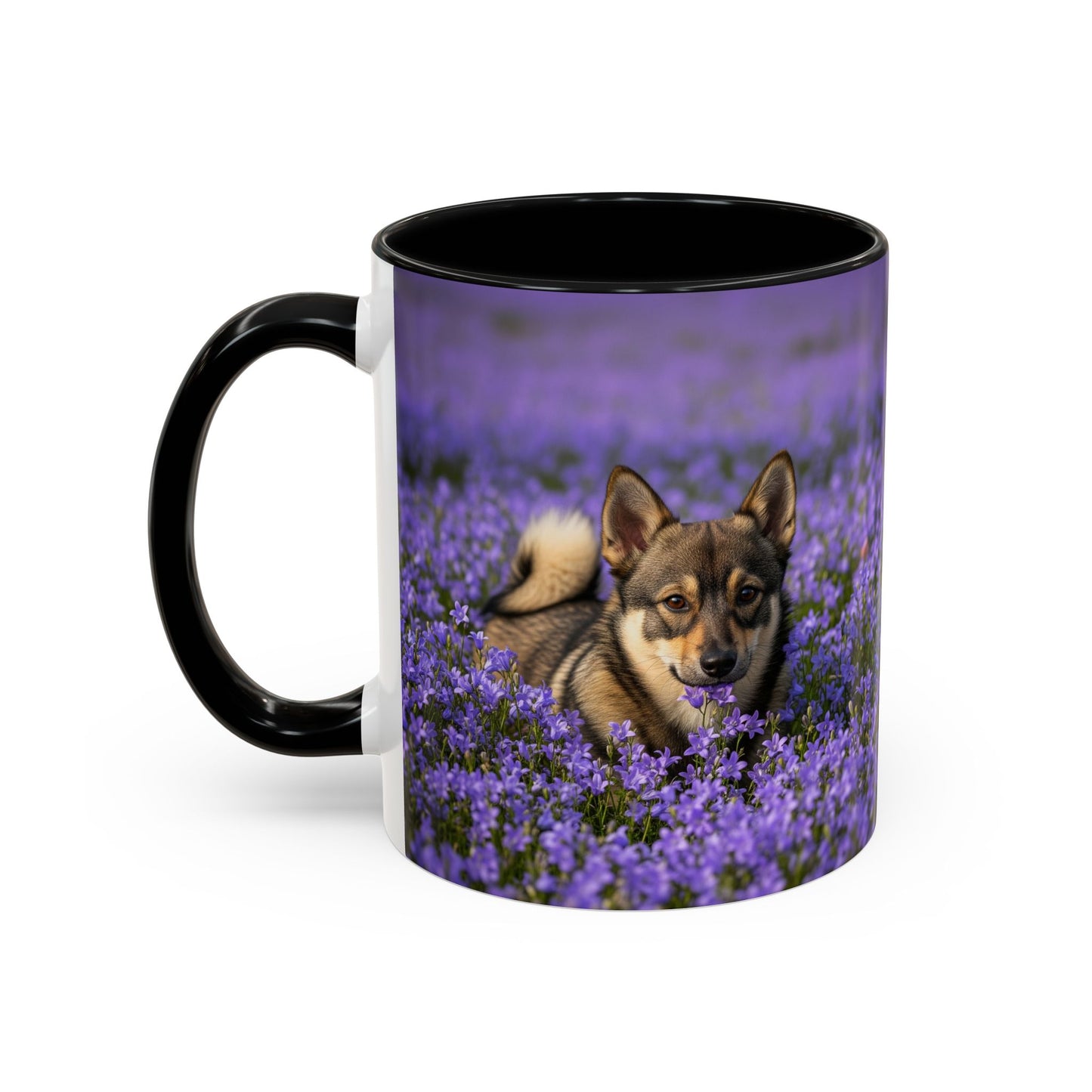 Swedish Vallhund Accent Coffee Mug - Perfect Gift for Dog Lovers