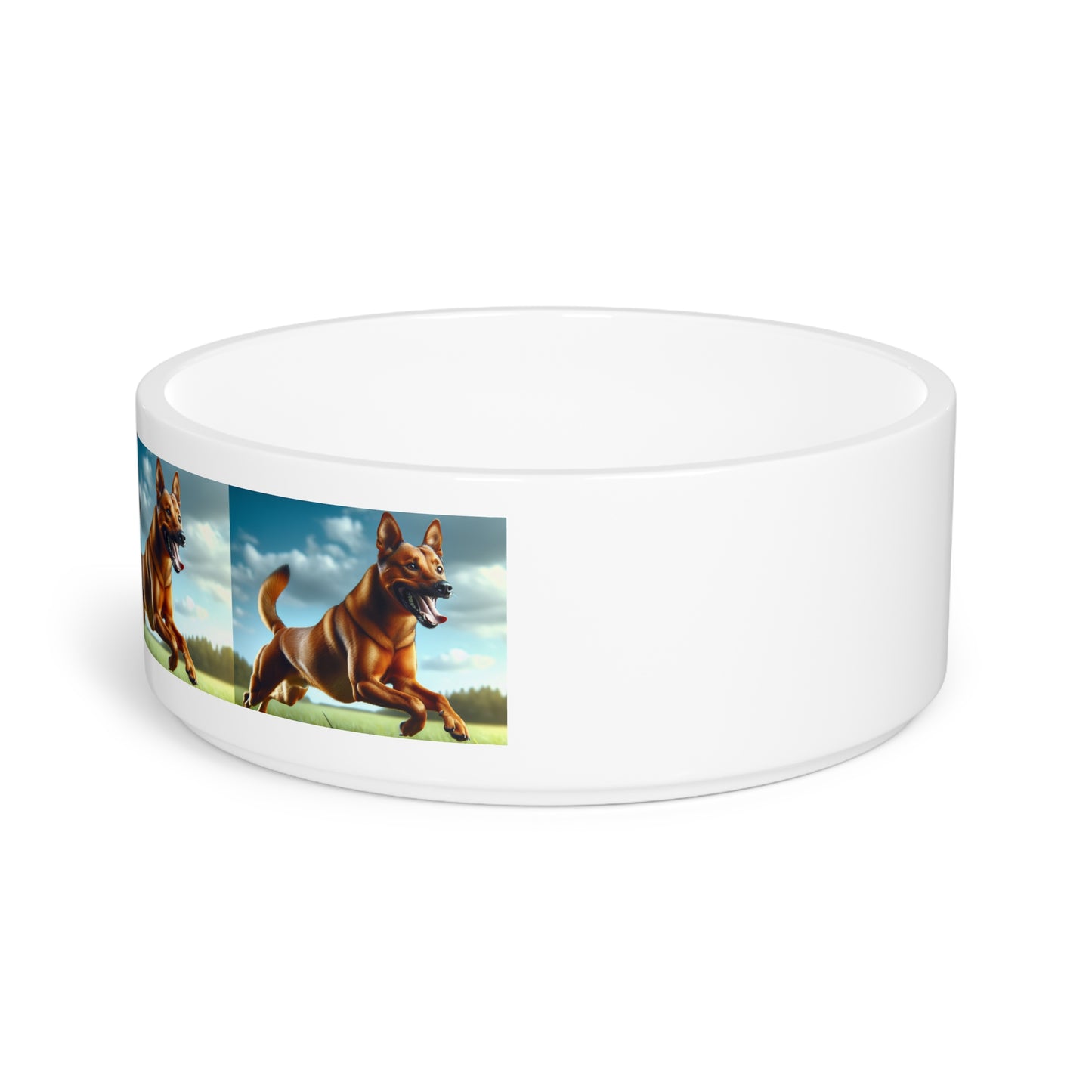 Kanni Pet Bowl