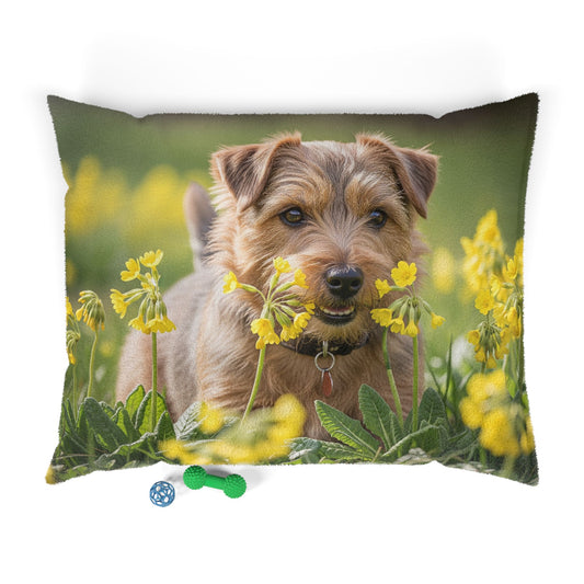 Norfolk Terrier Pet Bed