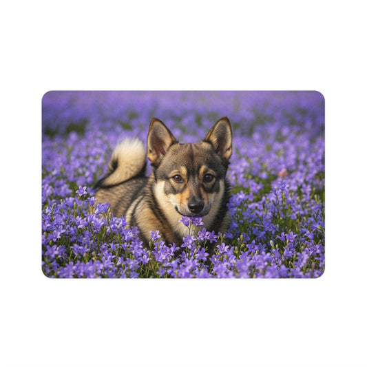 Pet Food Mat (12x18) - Swedish Vallhund
