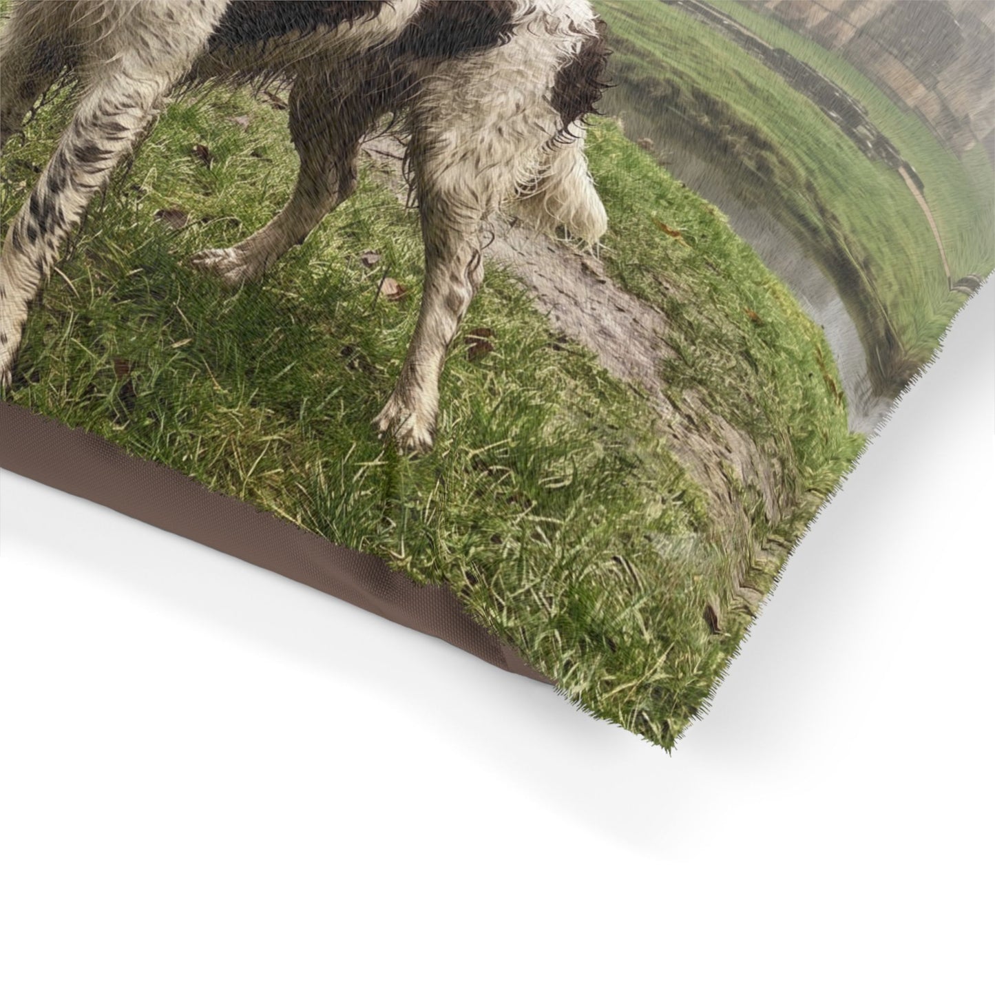 English Water Spaniel Pet Bed