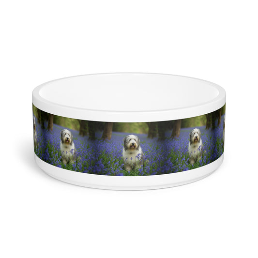 Bearded Collie Pet Bowl