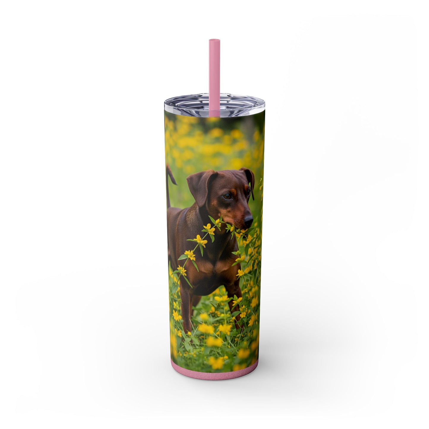 German Pinscher Tumbler with Straw, 20oz