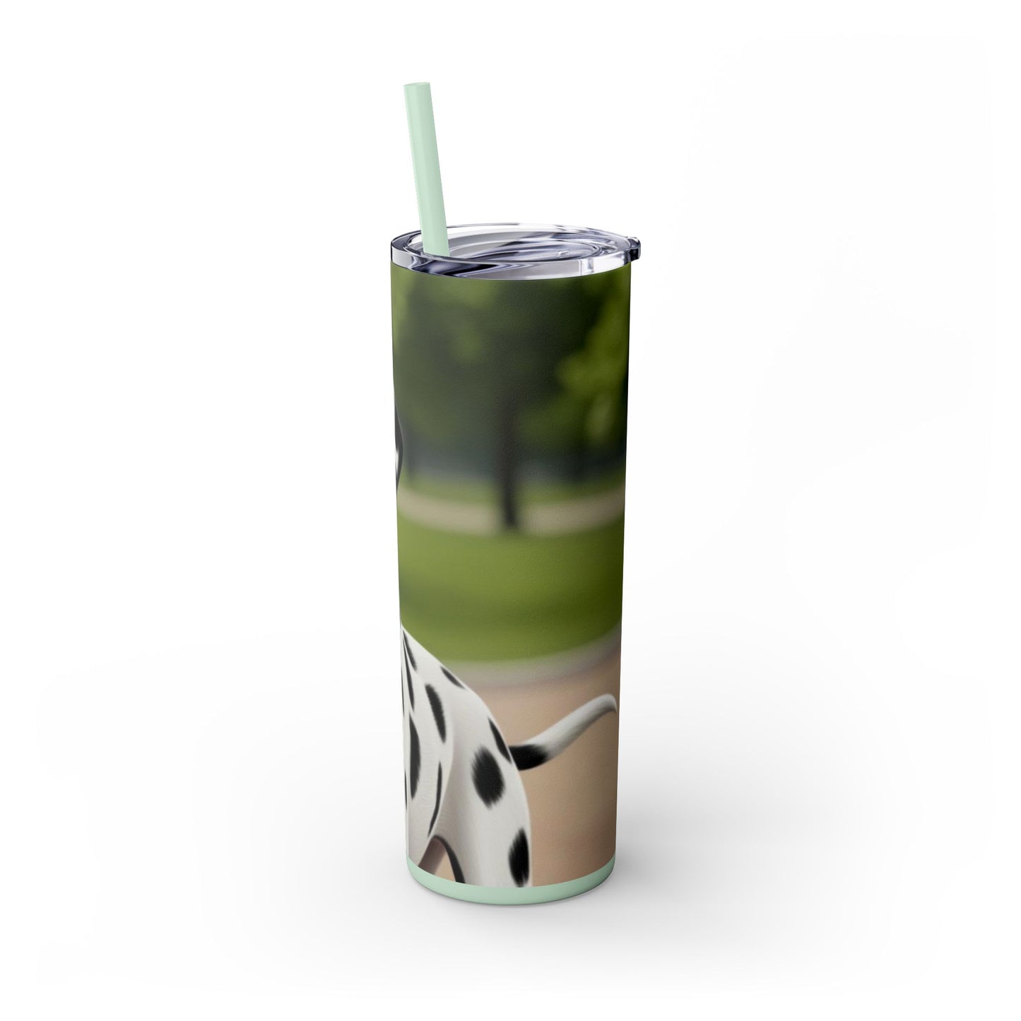 Skinny Tumbler with Straw – 20 oz Stainless Steel Cup