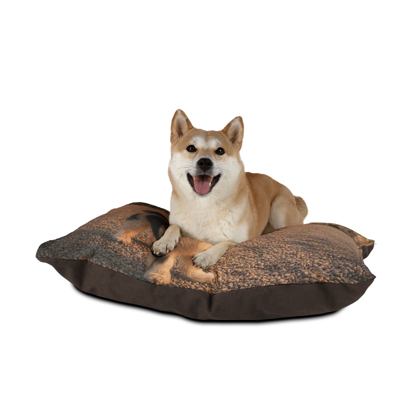 Löwchen Pet Bed