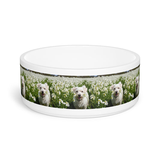 Kromfohrlander Pet Bowl
