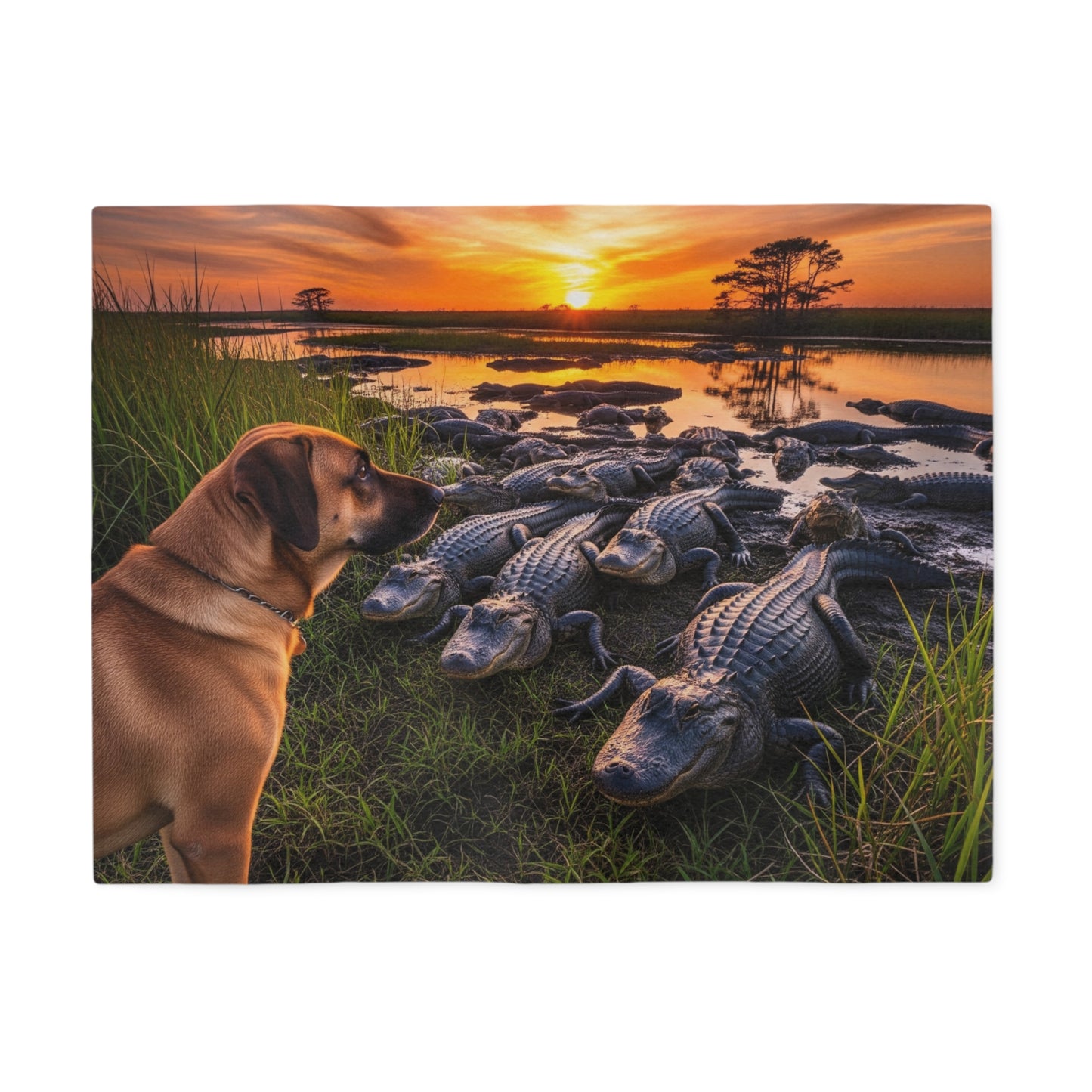 Black Mouth Cur Blanket