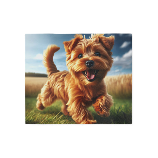 Norfolk Terrier Sweatshirt Blanket
