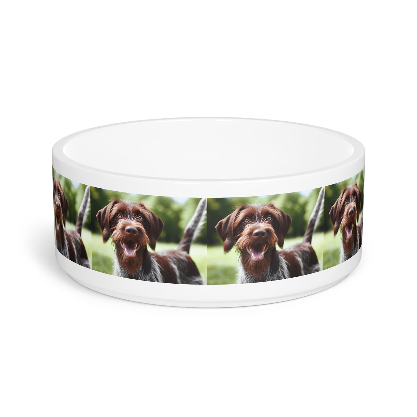 Wirehaired Slovakian Pointer Pet Bowl