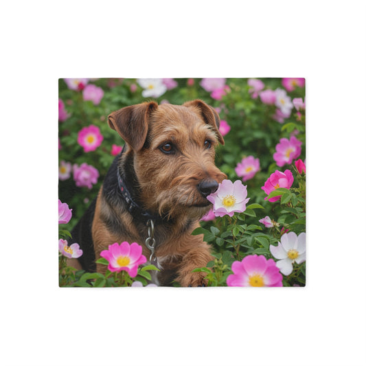 Teddy Roosevelt Terrier Sweatshirt Blanket