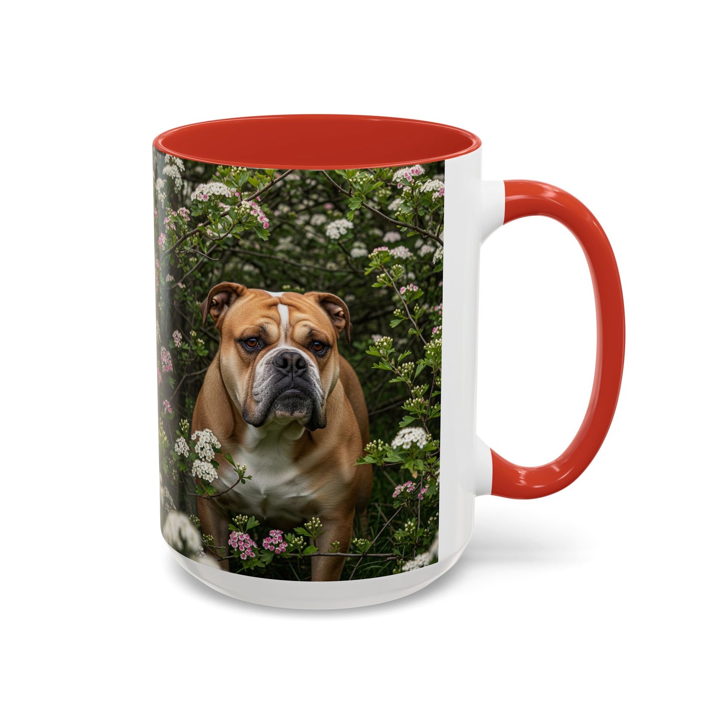 Mug à café Olde English Bulldogge Accent - Cadeau idéal pour les amoureux des chiens
