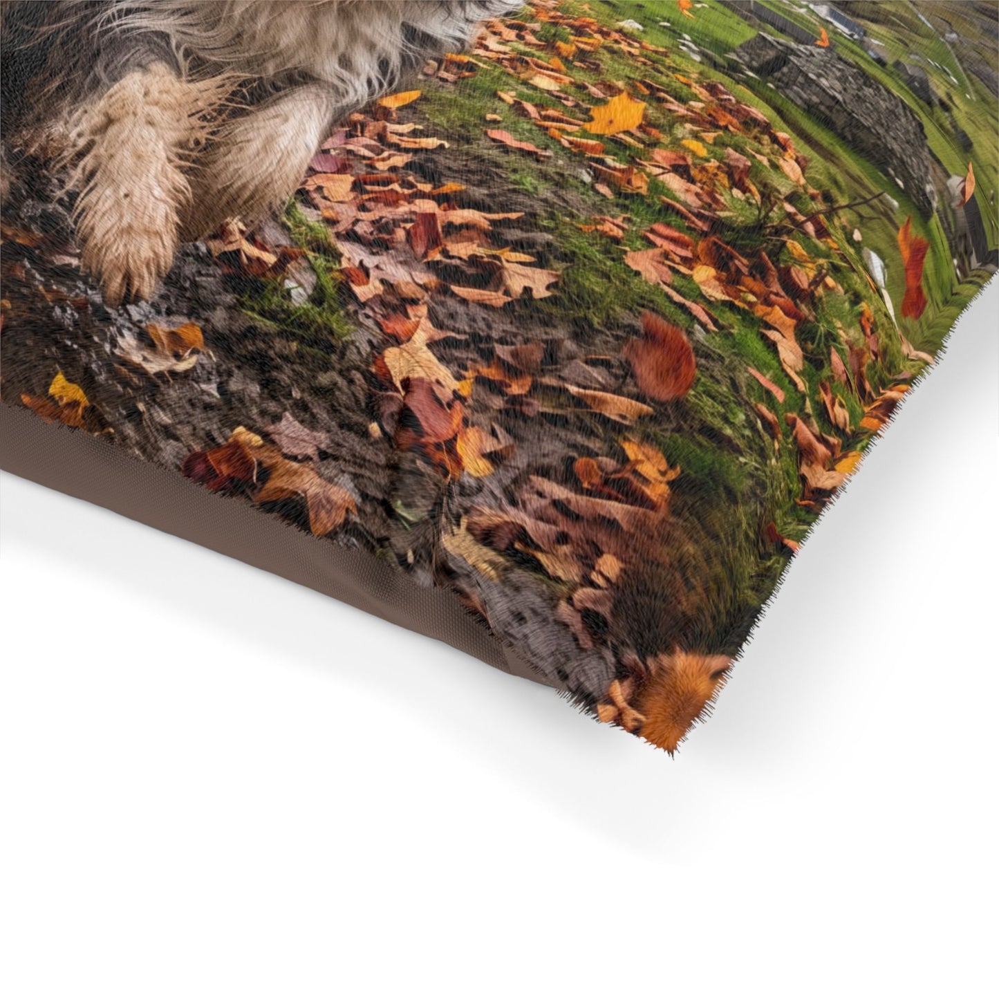 Bearded Collie Pet Bed
