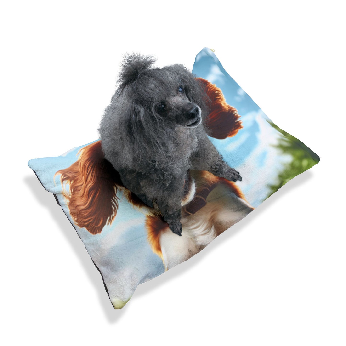 Welsh Springer Spaniel Pet Bed