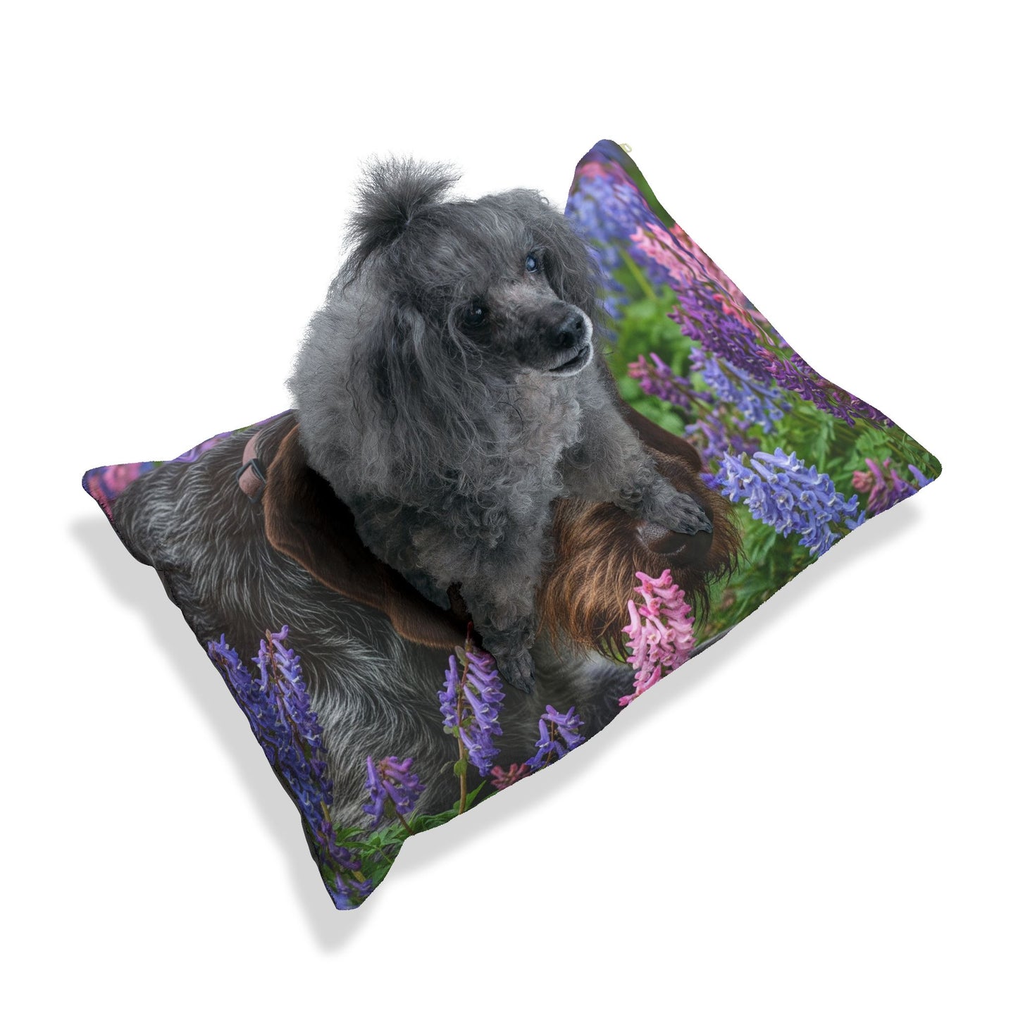 Wirehaired Slovakian Pointer Pet Bed