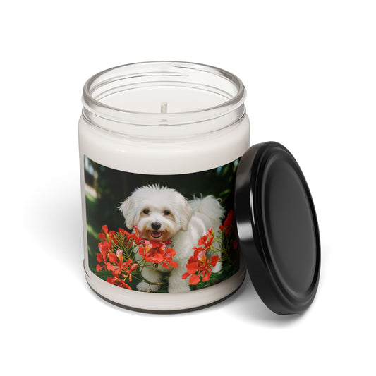 Coton De Tulear- Scented Soy Candle, 9oz