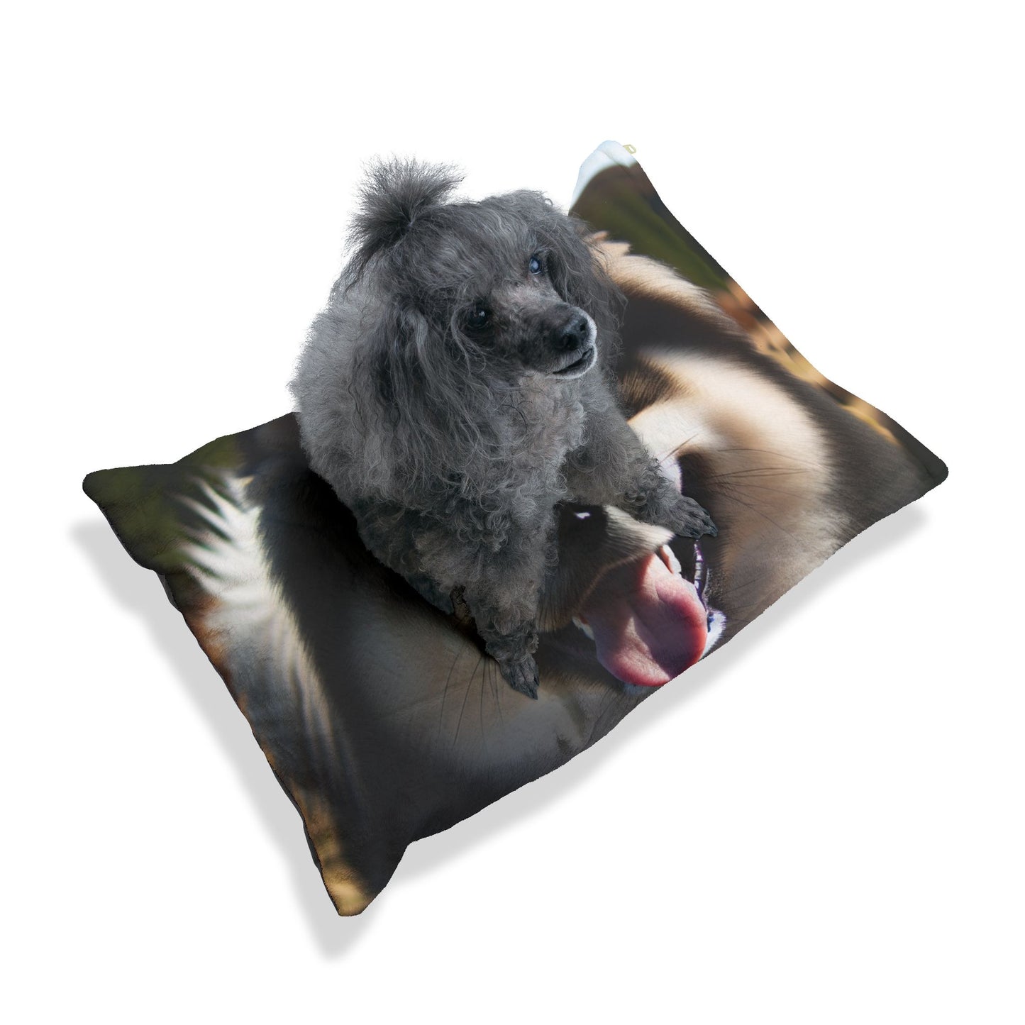 Norwegian Buhund Pet Bed