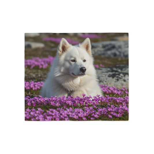 Canadian Eskimo Dog Sweatshirt Blanket