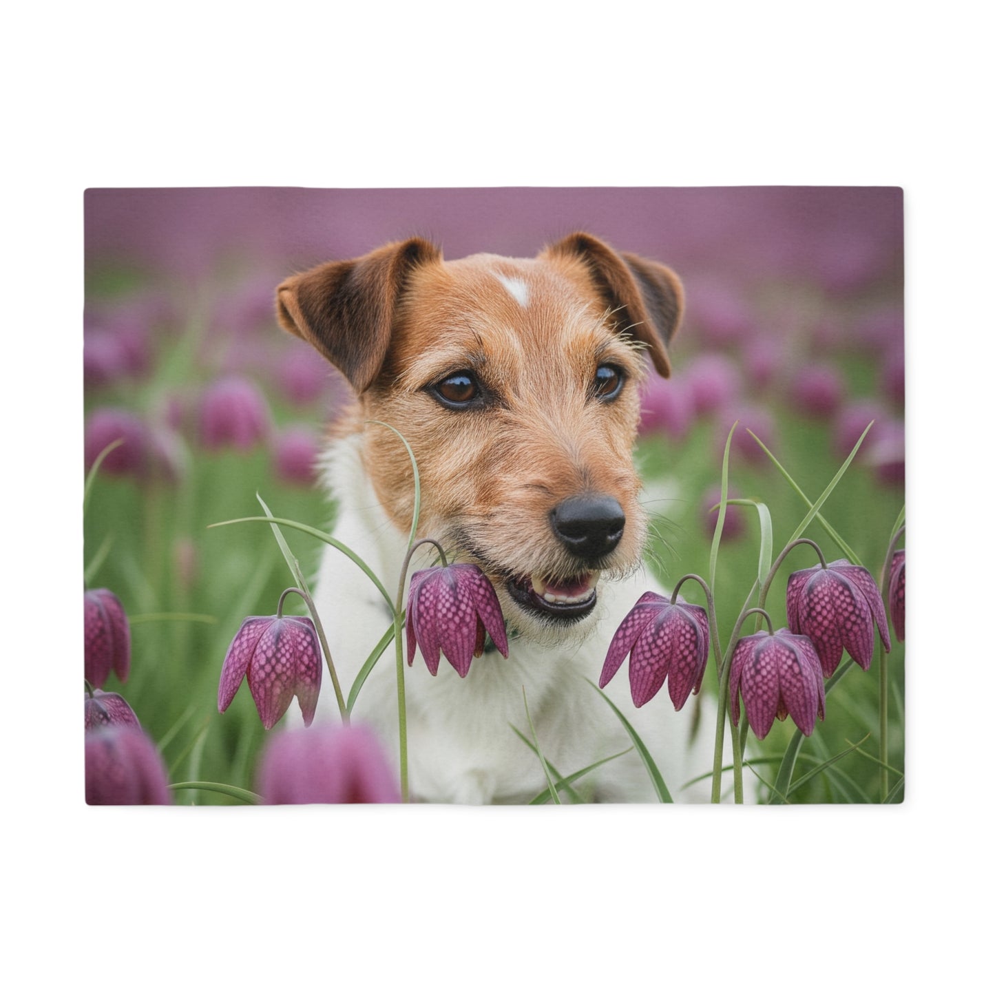 Manta sudadera Russell Terrier