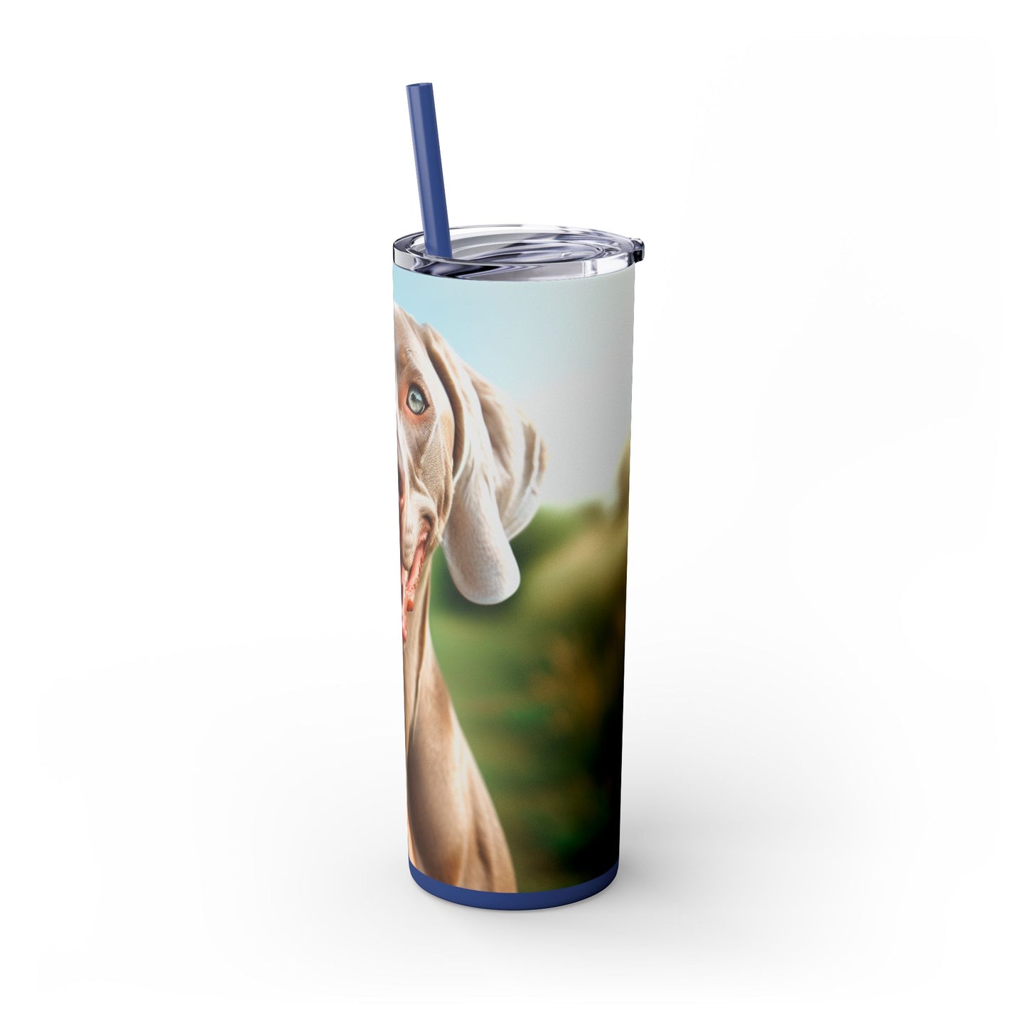 Weimaraner Skinny Tumbler with Straw, 20oz