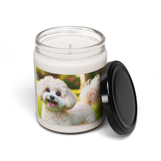 Maltipoo- Scented Soy Candle, 9oz