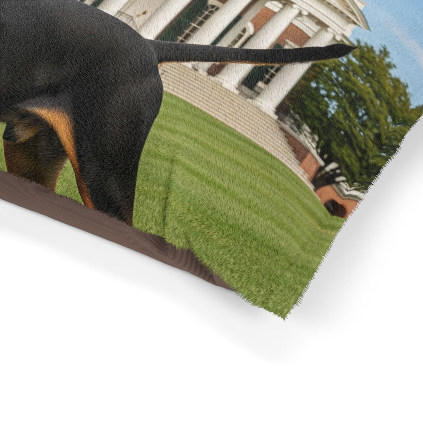 Black and Tan Coonhound Pet Bed