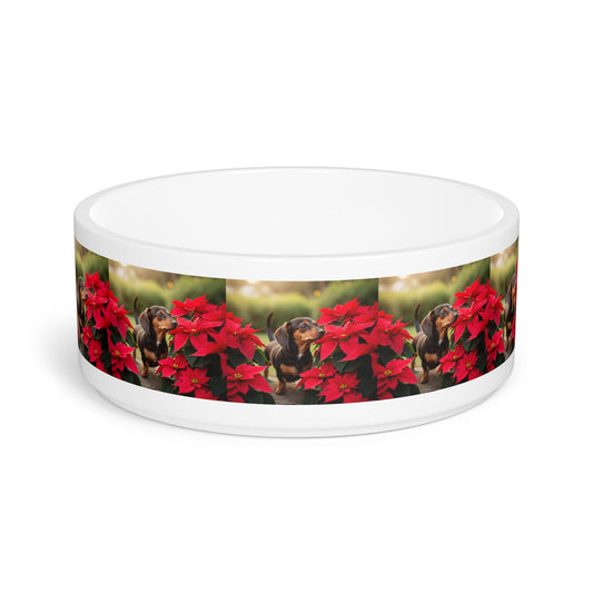 Chiweenie Pet Bowl