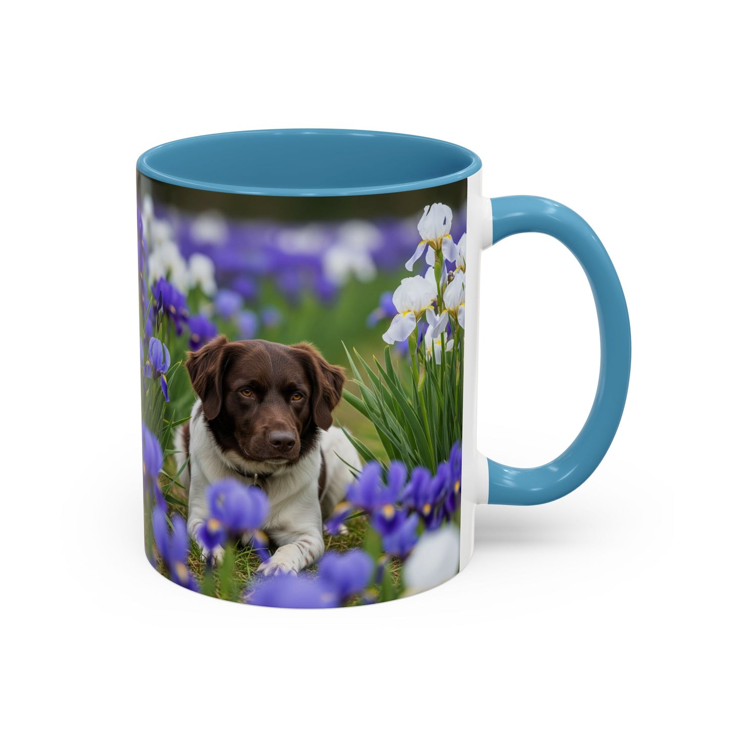 Mug Stabyhouns Accent - Cadeau idéal pour les amoureux des chiens