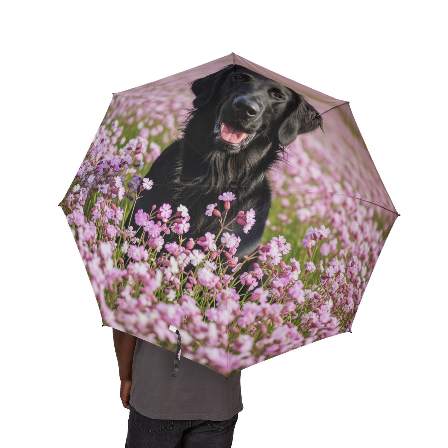 Paraguas plegable semiautomático Flat Coated Retriever