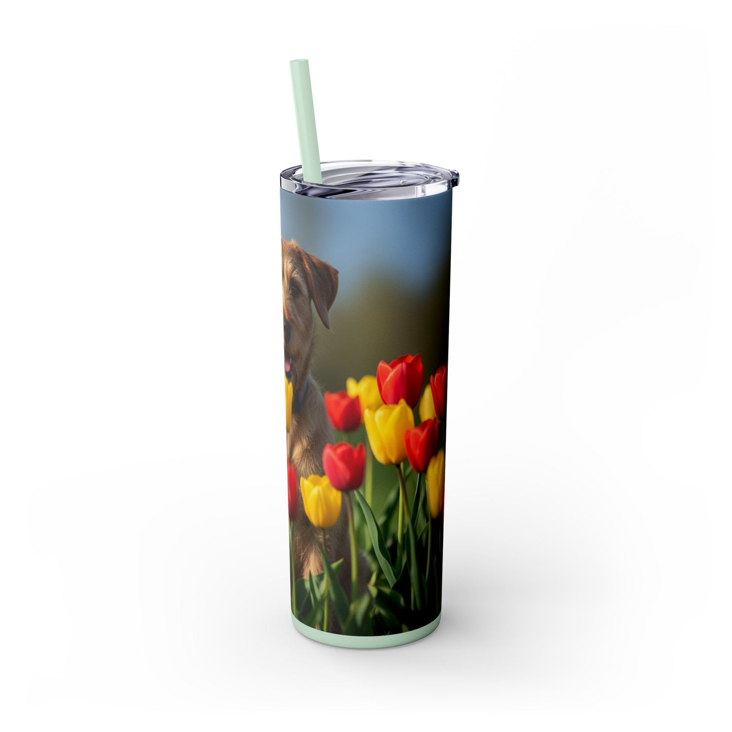 Pumi Skinny Tumbler with Straw, 20oz