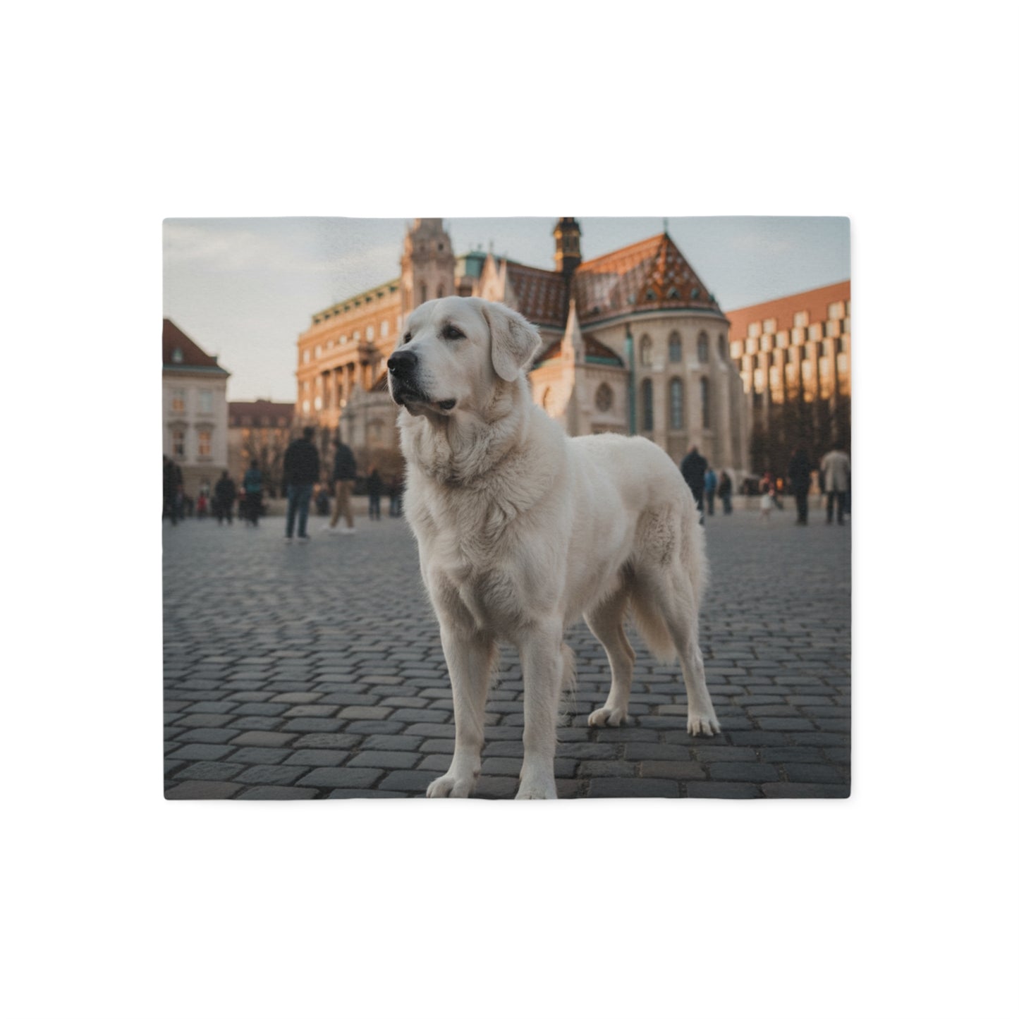 Hungarian Kuvasz Blanket